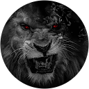 Derek Shank profile picture